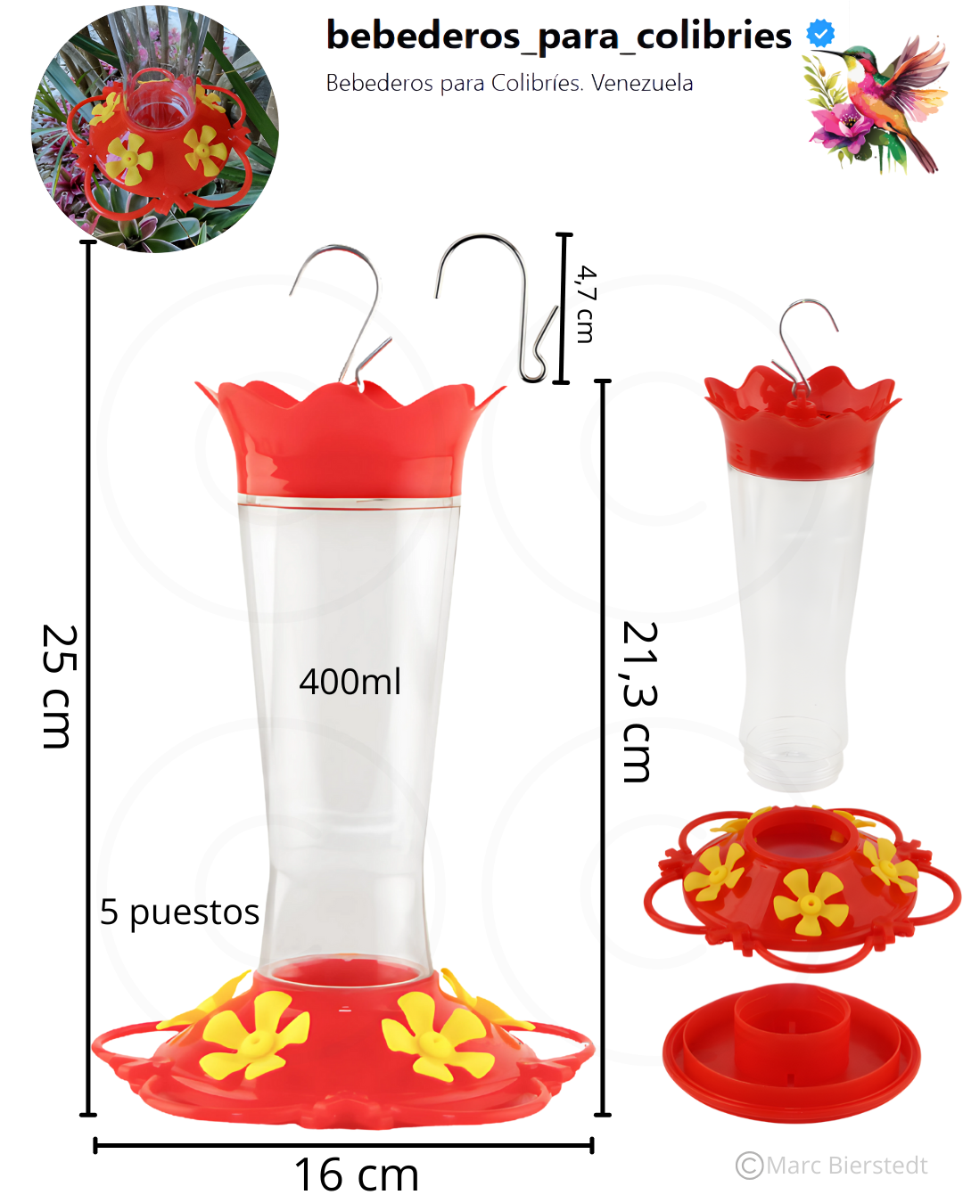 Bebedero Para Colibríes Medidas